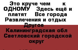 Это круче чем “100 к ОДНОМУ“. Здесь ещё и платят! - Все города Развлечения и отдых » Другое   . Калининградская обл.,Светловский городской округ 